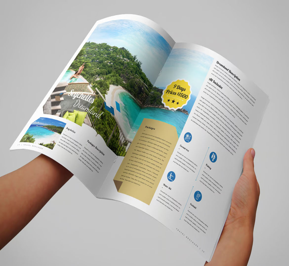 Travel Brochure