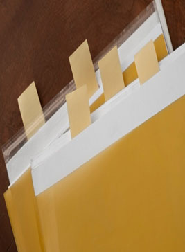 Classification Folder