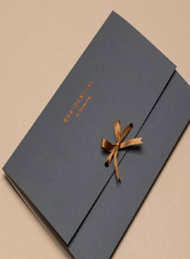Remittance Envelopes