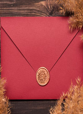 Coin Envelopes (Strong and with Button)